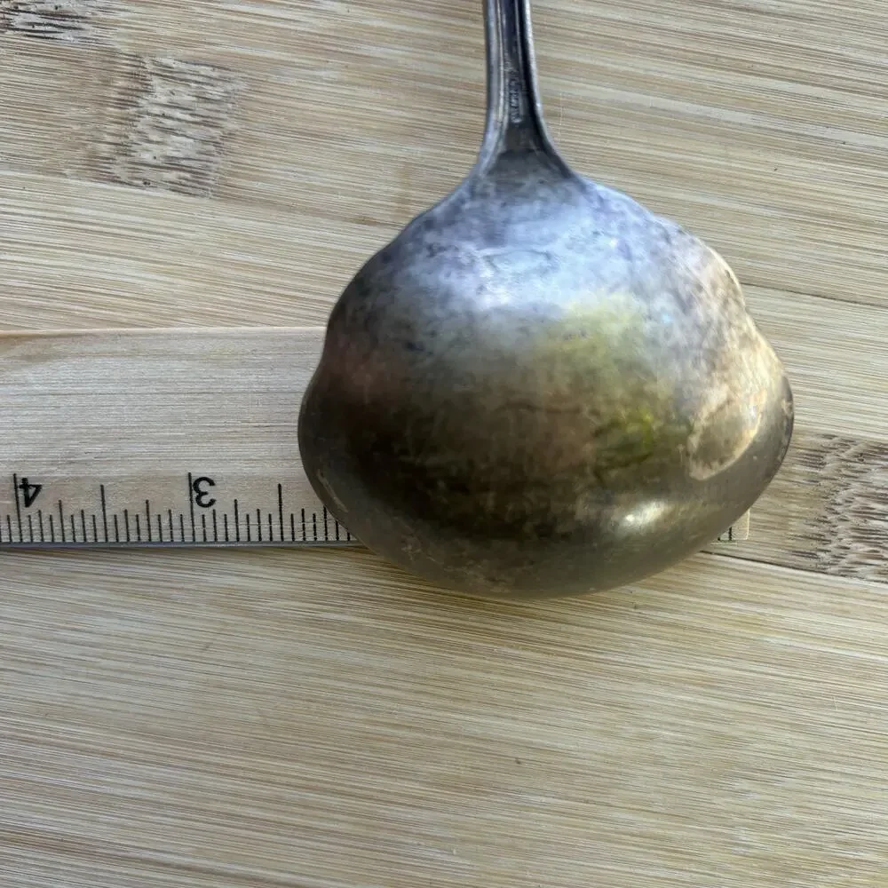 Vintage WM Rogers & Son AA Silverplate Gravy Ladle Floral Handle